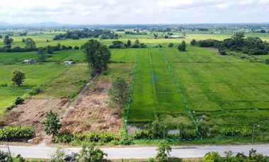 Land 7 rai in San Kamphaeng for Sale near San Kamphaeng Hospital