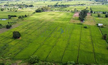 Land 7 rai in San Kamphaeng for Sale near San Kamphaeng Hospital