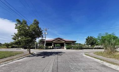 For Sale 184 Sqm Residential Lot by Aboitiz, Cordova,Cebu