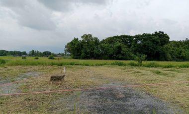Land for sale, Han Kaeo, Hang Dong, has water and electricity, only 400 meters from the main Chiang Mai-Hot road, near 7-Eleven, Big C, Hang Dong Market, North University, Grace International and from Chiang Mai Airport, only 14 kilometers.