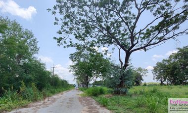 Land for sale, 13 rai, super highway. Chiang Mai - Lamphun (Highway No. 11) width 74 meters, depth 315 meters, price 135 million.