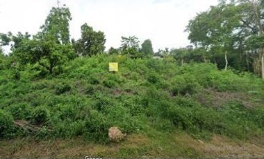 Residential/Commercial Lot for Sale located in Mayacabac, Dauis, Bohol
