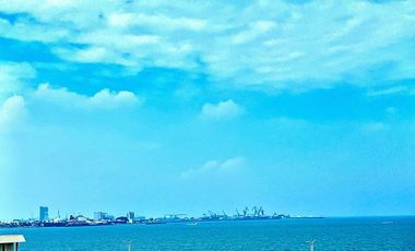 DEPARTAMENTO NUEVO CON VISTA AL MAR, AMUEBLADO FRACCIONAMIENTO VIRGINIA