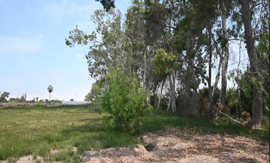 VENDO TERRENO 2.1351 Ha PARA CASA DE CAMPO, MALA, CAÑETE, PERÚ