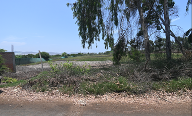 VENDO TERRENO 2.1351 Ha PARA CASA DE CAMPO, MALA, CAÑETE, PERÚ