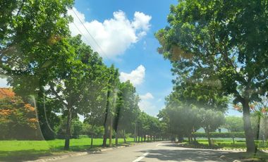🌺506 Sqm Corner Lot For Sale In Manila Southwoods Nearby Ayala Alabang