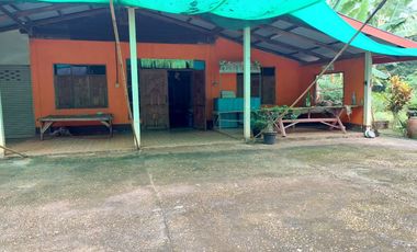 ขายบ้าน+สวนยาง+นาข้าว บ้านปักหมู อ.โพนพิสัย จ.หนองคาย