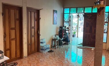 ขายบ้าน+สวนยาง+นาข้าว บ้านปักหมู อ.โพนพิสัย จ.หนองคาย