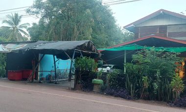 ขายบ้าน+สวนยาง+นาข้าว บ้านปักหมู อ.โพนพิสัย จ.หนองคาย
