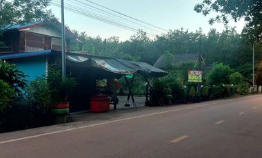 ขายบ้าน+สวนยาง+นาข้าว บ้านปักหมู อ.โพนพิสัย จ.หนองคาย