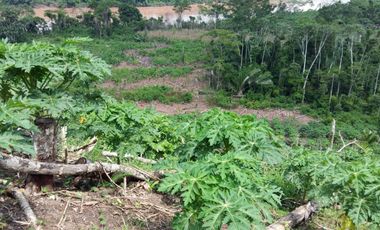 Terreno en Huanuco, Agricola y Pecuario en Yanayacu, Yuyapichis, Huanuco