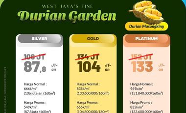 Tanah Kebun Durian Musang King Di Cianjur 2 Jam Dari Cibubur