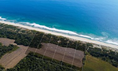 terreno Frente a La Playa Para Desarrolladores La Encomienda Puerto Escondido