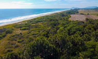 terreno Frente a La Playa Para Desarrolladores La Encomienda Puerto Escondido