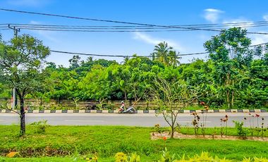 Tanah Noerdin Pandji Kebun Sayur Palembang Seluas 12 Ha