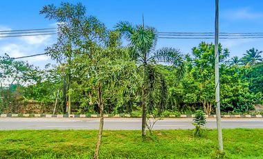Tanah Noerdin Pandji Kebun Sayur Palembang Seluas 12 Ha