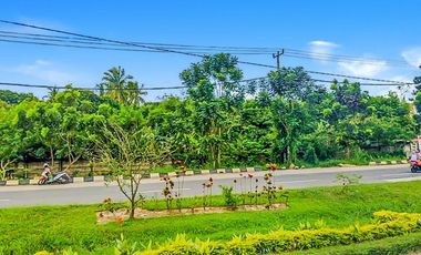 Tanah Noerdin Pandji Kebun Sayur Palembang Seluas 12 Ha
