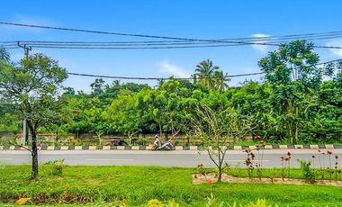 Tanah Noerdin Pandji Kebun Sayur Palembang Seluas 12 Ha