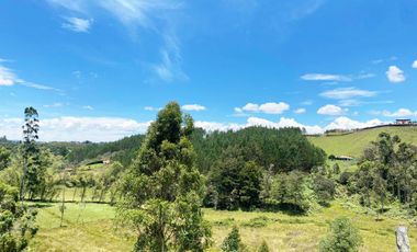 PR19452 Casa en arriendo en el sector Guarne