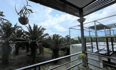 A 2- story house for sale with beautiful mountain view in a peaceful neighborhood