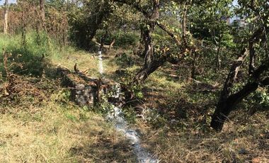 VENDO TERRENO EN CUERNAVACA FRACC. GRANJAS MERIDA, FRENTE AL TEC. DE MONTERREY