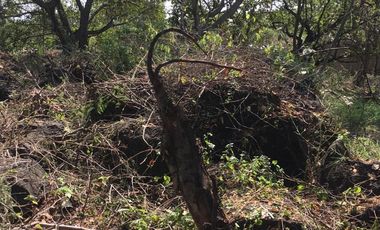 VENDO TERRENO EN CUERNAVACA FRACC. GRANJAS MERIDA, FRENTE AL TEC. DE MONTERREY
