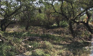 VENDO TERRENO EN CUERNAVACA FRACC. GRANJAS MERIDA, FRENTE AL TEC. DE MONTERREY