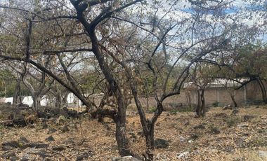 VENDO TERRENO EN CUERNAVACA FRACC. GRANJAS MERIDA, FRENTE AL TEC. DE MONTERREY