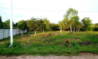 Lot For Sale located in Libaong, Panglao, Bohol