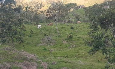 Venta Lote Ganadero con buenas Aguas en Cocorná Antioquia