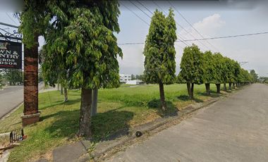 Town and Country Negros 240sqm Lot For Sale