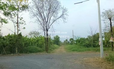 Land for sale, cheaper than appraisal price, empty land, 103 square wah, width 14x29 meters, Soi Rangsit-Nakhon Nayok 25, about 1.5 km into the alley, near Rangsit-Nakhon Nak Road, Future Park Rangsit  Rangsit Market