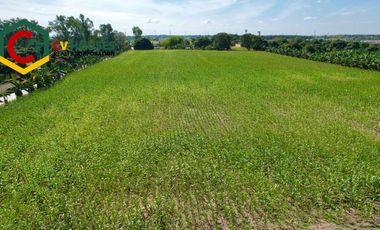 AGRICULTURAL LOT FOR SALE.