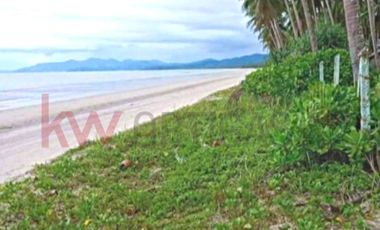 Beach Lot in San Vicente, Palawan