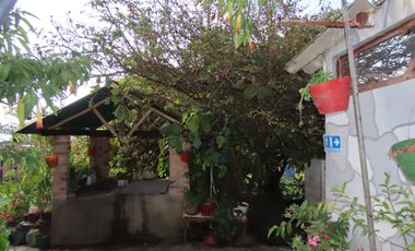 SE VENDE FINCA EN NESCUATA - SESQUILE, CUNDINAMARCA