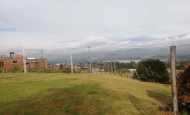 SE VENDE FINCA EN NESCUATA - SESQUILE, CUNDINAMARCA