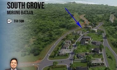 Horizon Lot for Sale in Anvaya Cove South Grove at Morong Bataan
