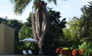 ALQUILO FINCA PRIVADA EN VILLAMARIA/CALDAS