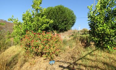 Parcela 5.000 mt2, Melipilla