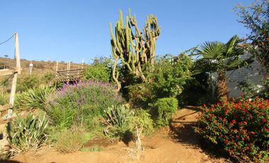 Parcela 5.000 mt2, Melipilla