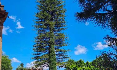 📍 OPORTUNIDAD DE INVERSIÓN EN TECOZAUTLA – $114/m²