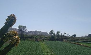 Vendo Local Comercial Arequipa-Arancota- Sachaca