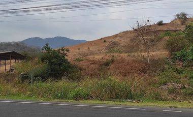 terreno 6000m2 de venta en la vía portoviejo manta
