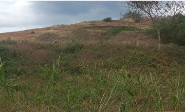 terreno 6000m2 de venta en la vía portoviejo manta