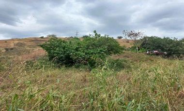 terreno 6000m2 de venta en la vía portoviejo manta