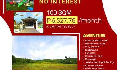 For Sale 100 Sqm Residential Lot in Guadalupe, Bogo City, Cebu