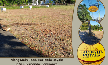 Premium Residential Lot For Sale: 1,100 sqm along Main Road, Hacienda Royale, San Fernando, Pampanga