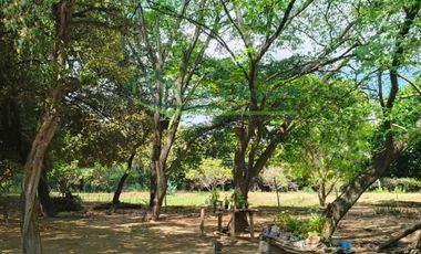 VENDEMOS HERMOSA FINCA TOTALMENTE PLANA, A 10 MINUTOS DE LA CIUDAD DE GIRARDOT