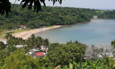 🌴 Luxurious Cove and Beach Resort with Development Opportunities 🌊, Brgy. Pag-asa, Bagac, Bataan, Philippines