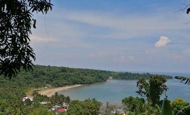 🌴 Luxurious Cove and Beach Resort with Development Opportunities 🌊, Brgy. Pag-asa, Bagac, Bataan, Philippines